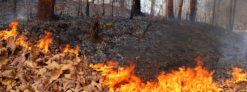 Incendi Boschivi - Protezione Civile